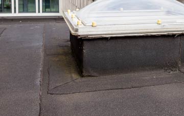 disadvantages of Skelpick flat roofs