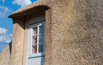 Skelpick thatch roof disadvantages