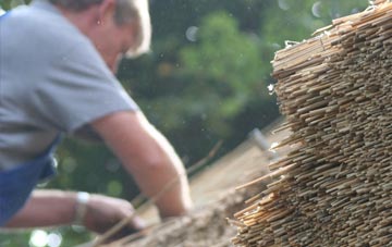 professional Skelpick thatchers