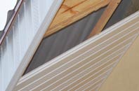rated Skelpick soffit repair companies